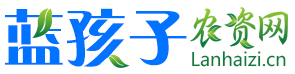 媒体