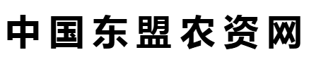 媒体